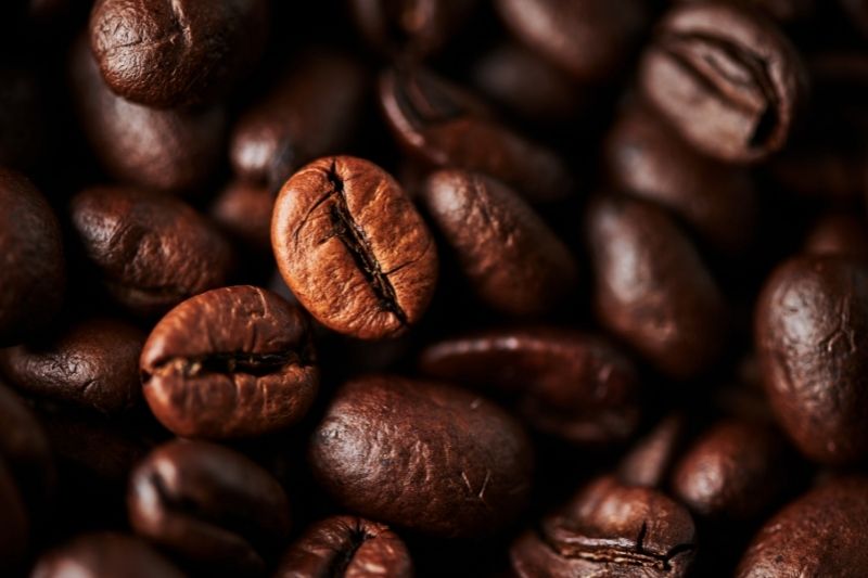 10 Most Exotic, Premium and Unique Coffees To Try