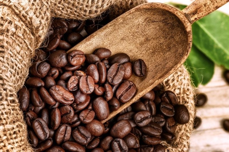 premium arabica coffee bean