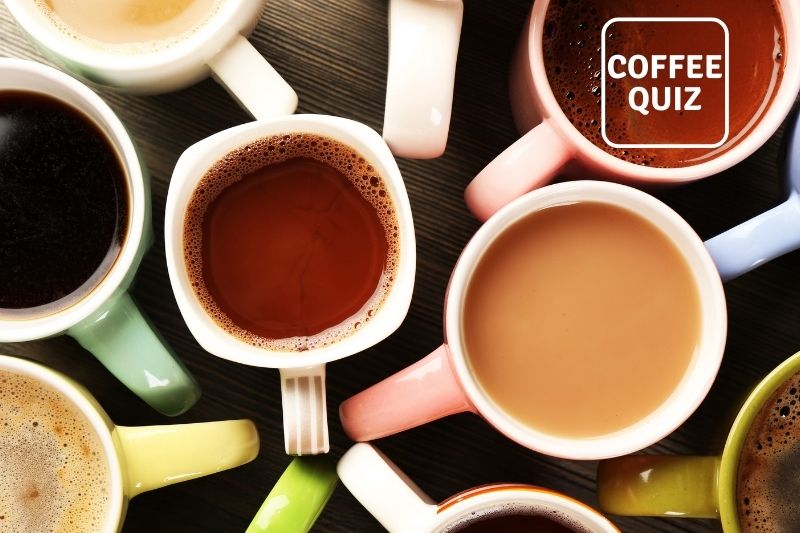 Does the Type of Mug or Glass Affect How Coffee Tastes? – Coffee Quiz –  Japanese Coffee Co.
