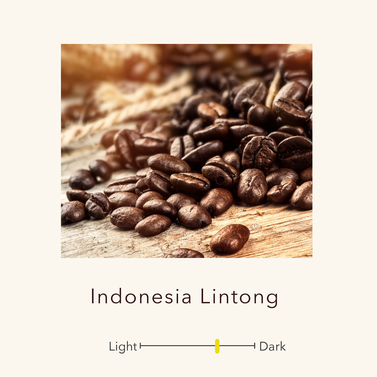 https://cdn.shopify.com/s/files/1/0530/5145/7703/files/Indonesia-Lintong.jpg?v=1700320320