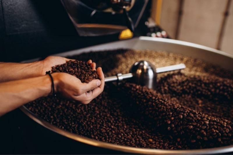The Characteristics of Premium Coffee Beans