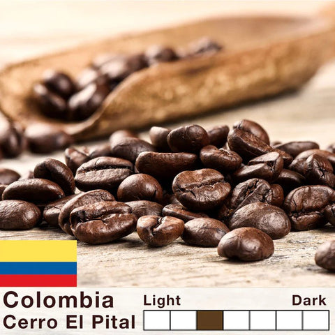 Colombia - Arabica Caturra - Pital-Mountain - Single Origin Premium Coffee