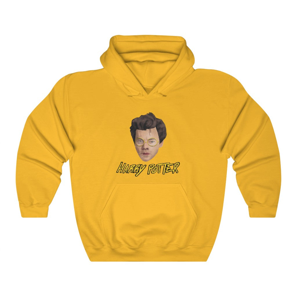 "Harry Potter" harry styles hoodie