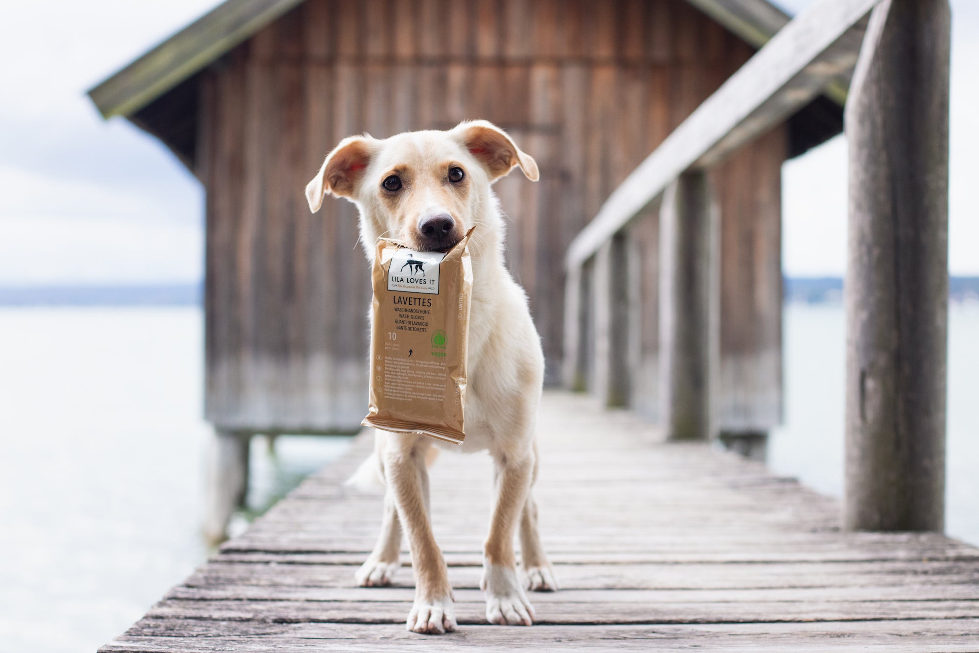 buitenste omzeilen havik Washandjes voor honden - Reinigingsdoekjes voor honden – Barker & Bones