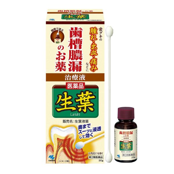 【第3類医薬品】小林製藥 生葉液薬 生葉牙齦腫痛藥液 20g/瓶