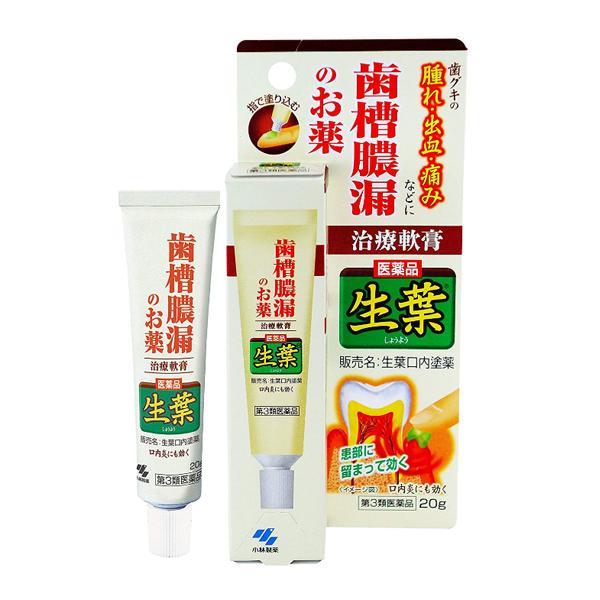 【第3類醫藥品】小林製藥 生葉牙周護理軟膏 20g/支