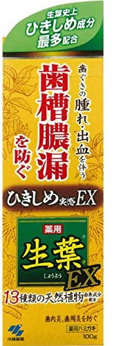 生葉 齒槽膿漏防止 藥用牙膏EX 100g