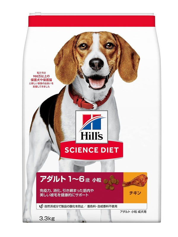 ついに入荷 ビーグル犬飼育に関する本 中古6冊セット ecousarecycling.com