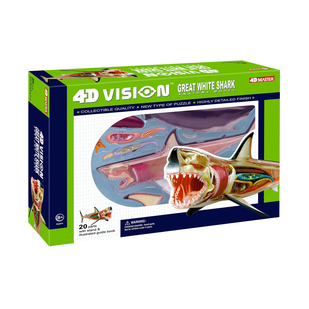 4D Vision Full Skeleton Dog Anatomy Model
