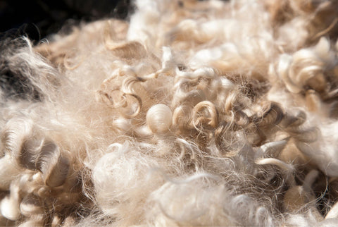 Goat wool fibers