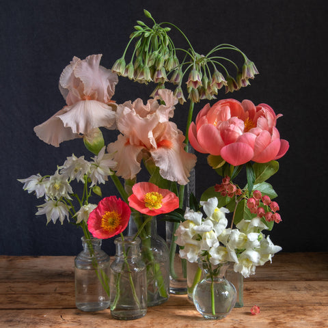 irises, poppies, peony flowers in small glass vases