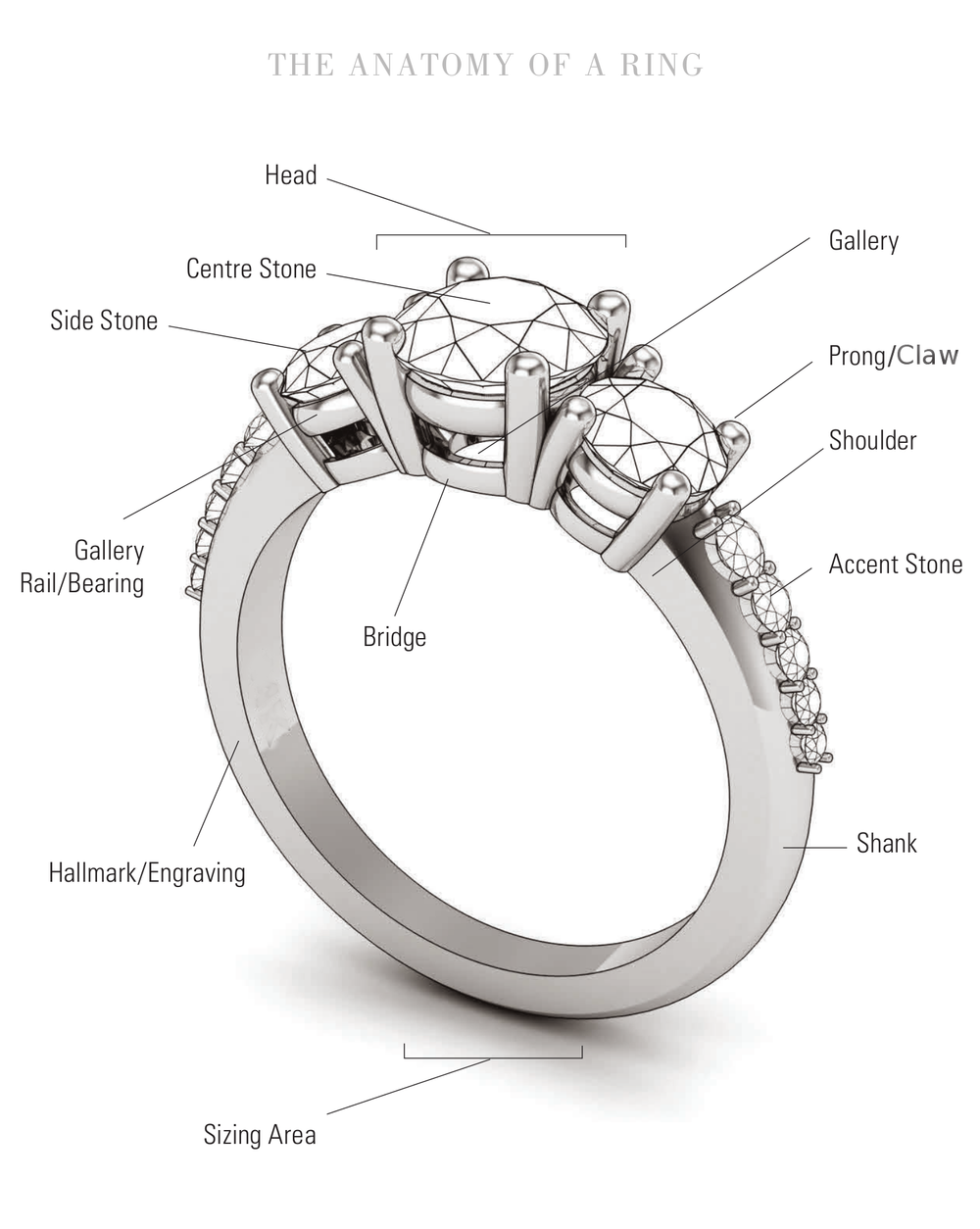 Anatomy of a Ring - Moores Jewellers