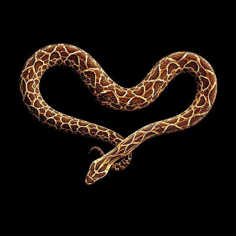 A snake slithering in the shape of a heart