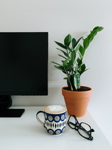 A ZZ plant in a terra cotta pot sitting next to a computer monitor, coffee, and glasses