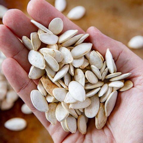 Turn Organic Pumpkin Seeds