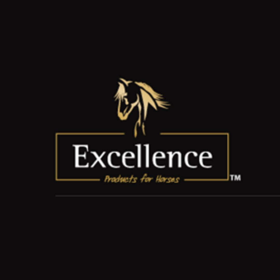 Logo Excellence.jpg__PID:505103ee-eb96-4ce0-8691-189e7b8687f5