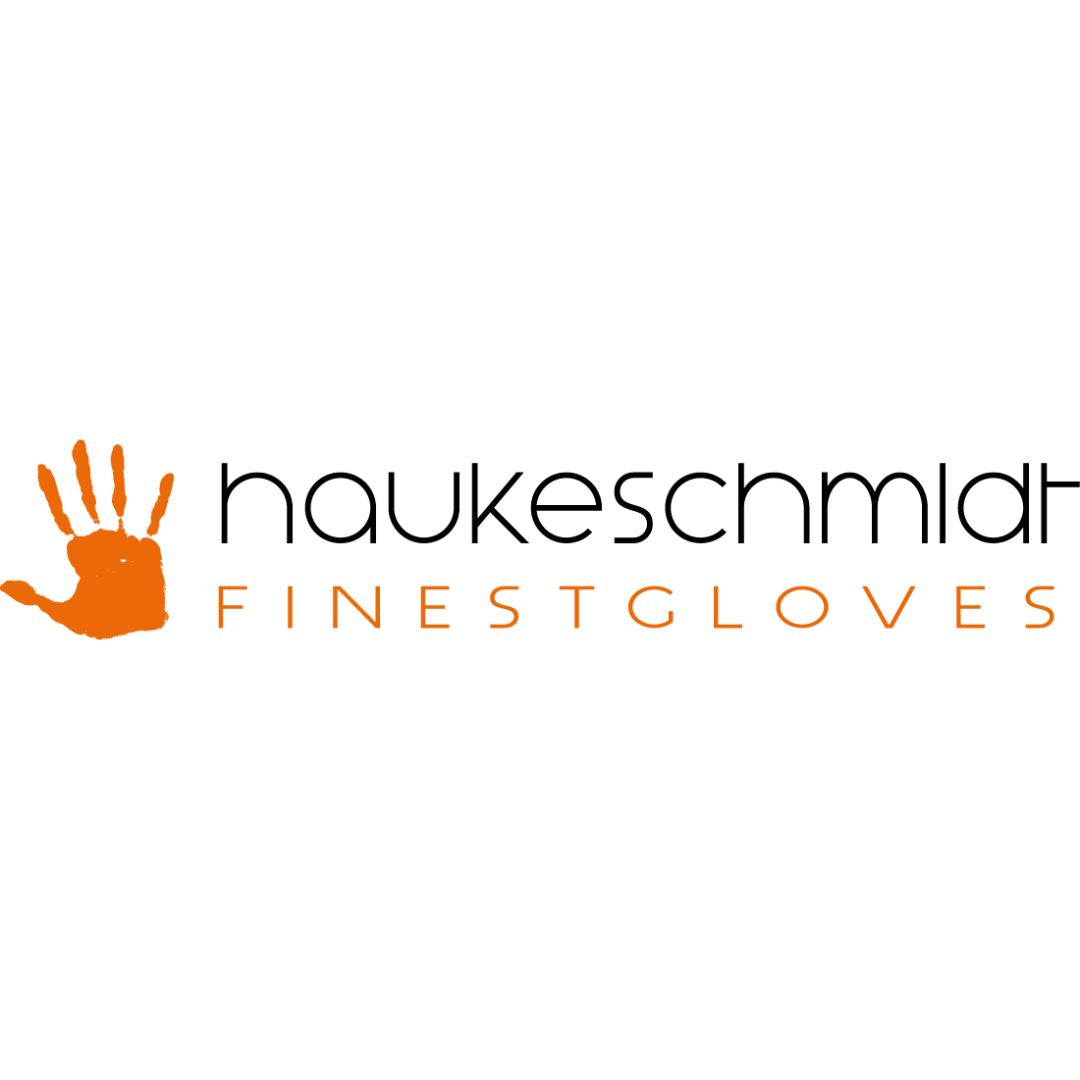 Logo's Haukeschmidt.jpg__PID:a3ebf0a0-4fb7-4873-9966-fa3c55a08f38