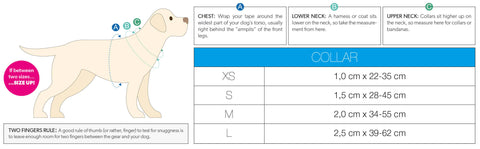 Max and Molly Dog collar size chart.