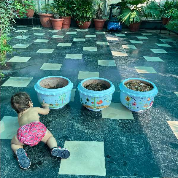 baby crawling to Daily Dump composters in her outdoor home garden