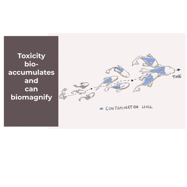 bioaccumulation of toxicity shown by daily dump