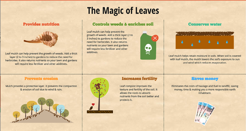 Magic of leaves as explained by Daily Dump 