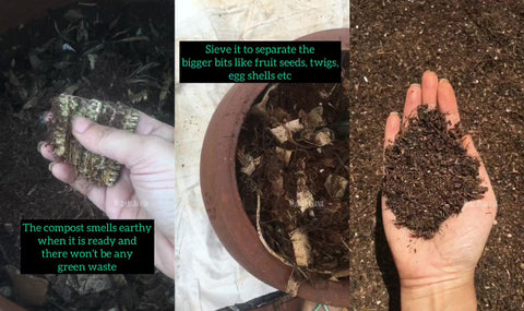 Once compost is ready, sieve it and use it for your plants!