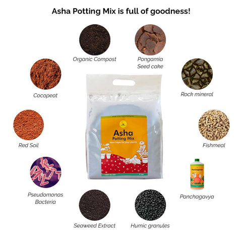Asha Potting Mix ingredients for all plants