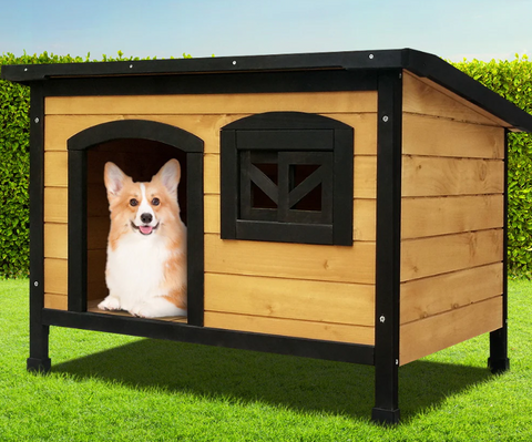 Dog Kennels