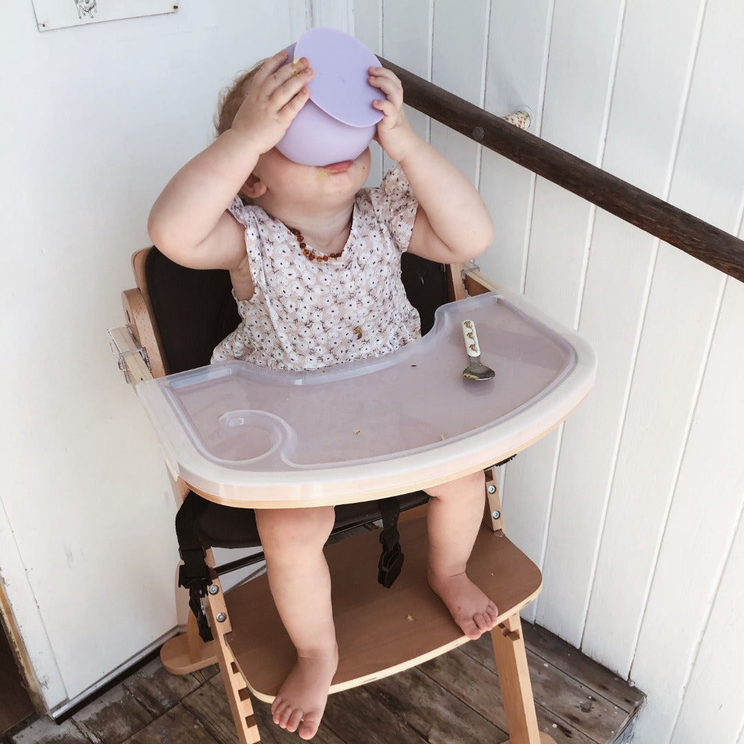 babyhood highchair