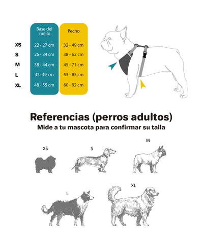 Guía de medidas perros para perros con referencias