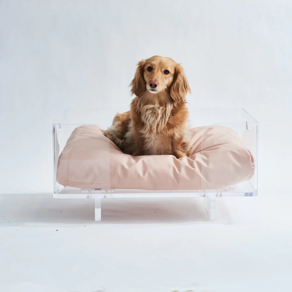 Finding the perfect bed for your dog is easy with the Shop Hiddin