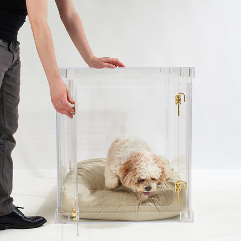 Clear acrylic dog crate. Modern and functional.