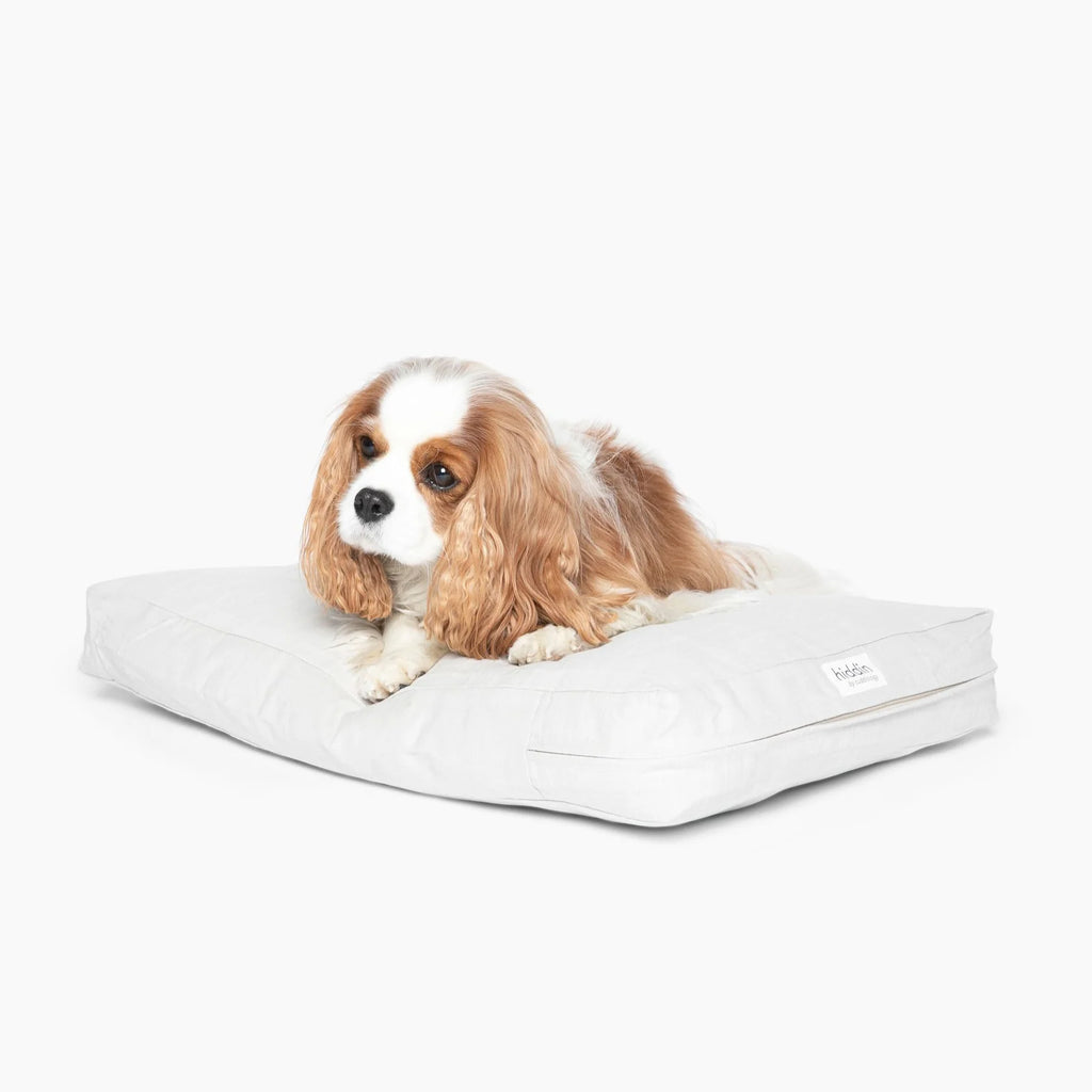 getting an extra dog bed for your dog is usually a great way to make your dog more comfortable