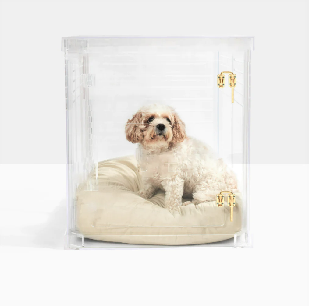 designer clear crate for puppy