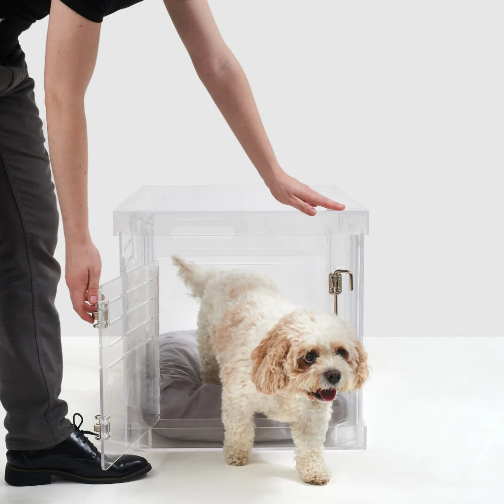 puppy in the crate