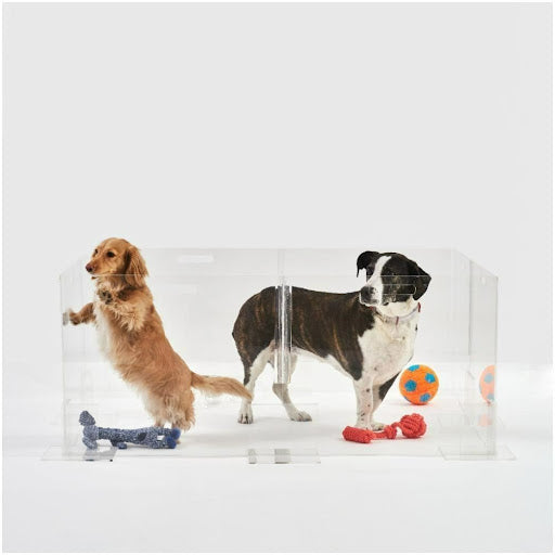 Clear Pet Playpen by shophiddin.com