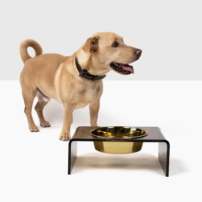 2017 Kia Sedona Double High Elevated Dog Bowls & Cat Dishes - Custom Pet  Feeder