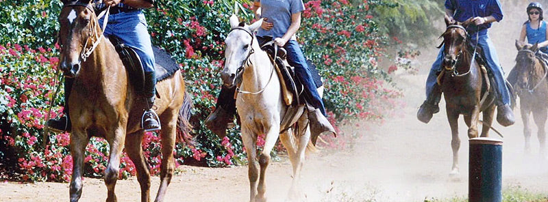 Casa De Campo Horseback Riding