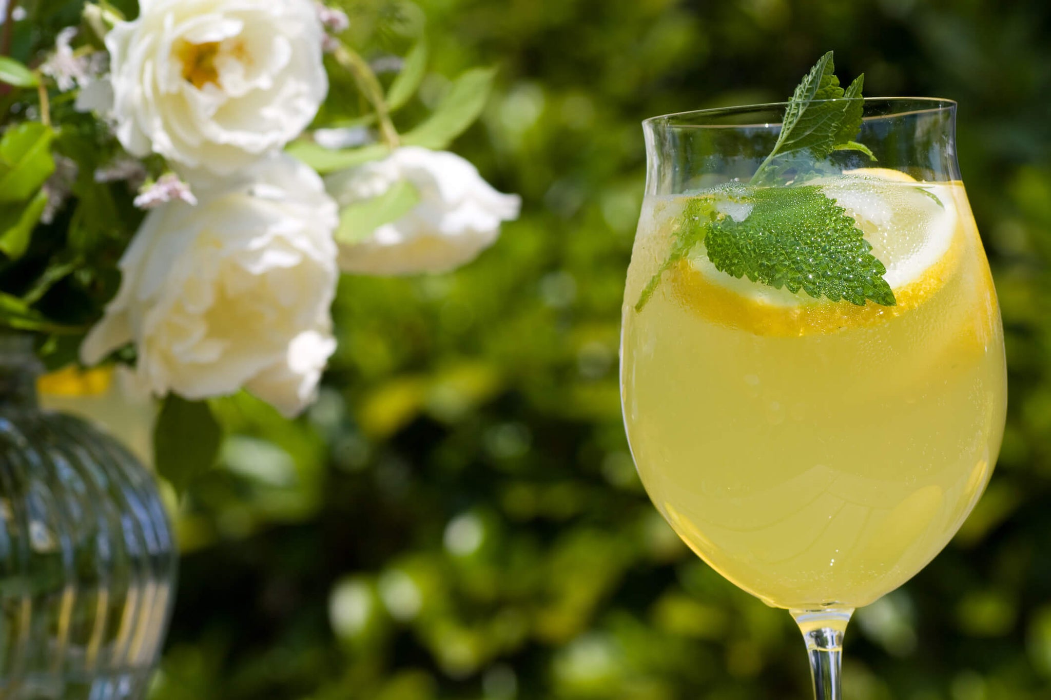 A glass of Limoncello Spritz garnished with a slice of lemon and a sprig of mint, presented in a garden setting with white roses in the background.