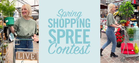 Enter to win a Shopping Spree