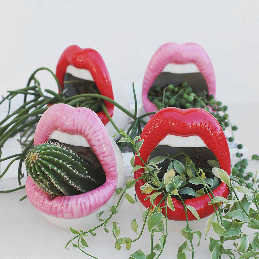 lips ceramic pots