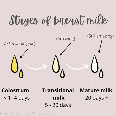 https://cdn.shopify.com/s/files/1/0531/0047/8650/files/Stages_of_breast_milk_by_Onatural_480x480.png?v=1643293673