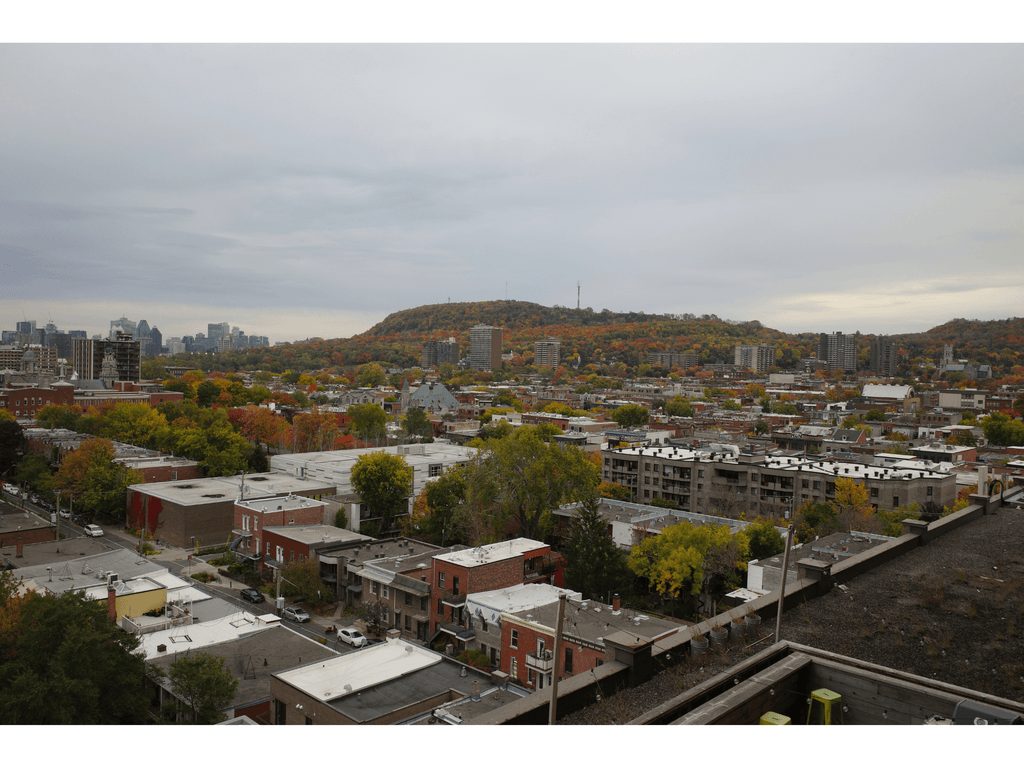 A view of Montreal Mount Royal on a grey-ish fall day. 