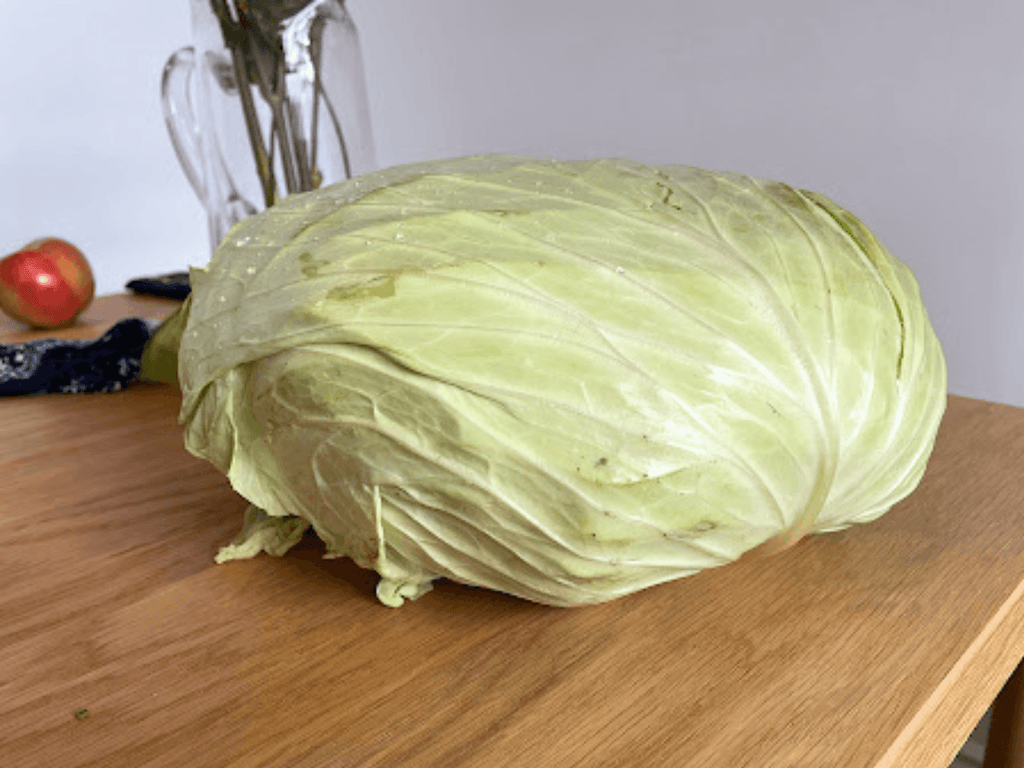 A big Chinese Cabbage sitting on a wooden table. 