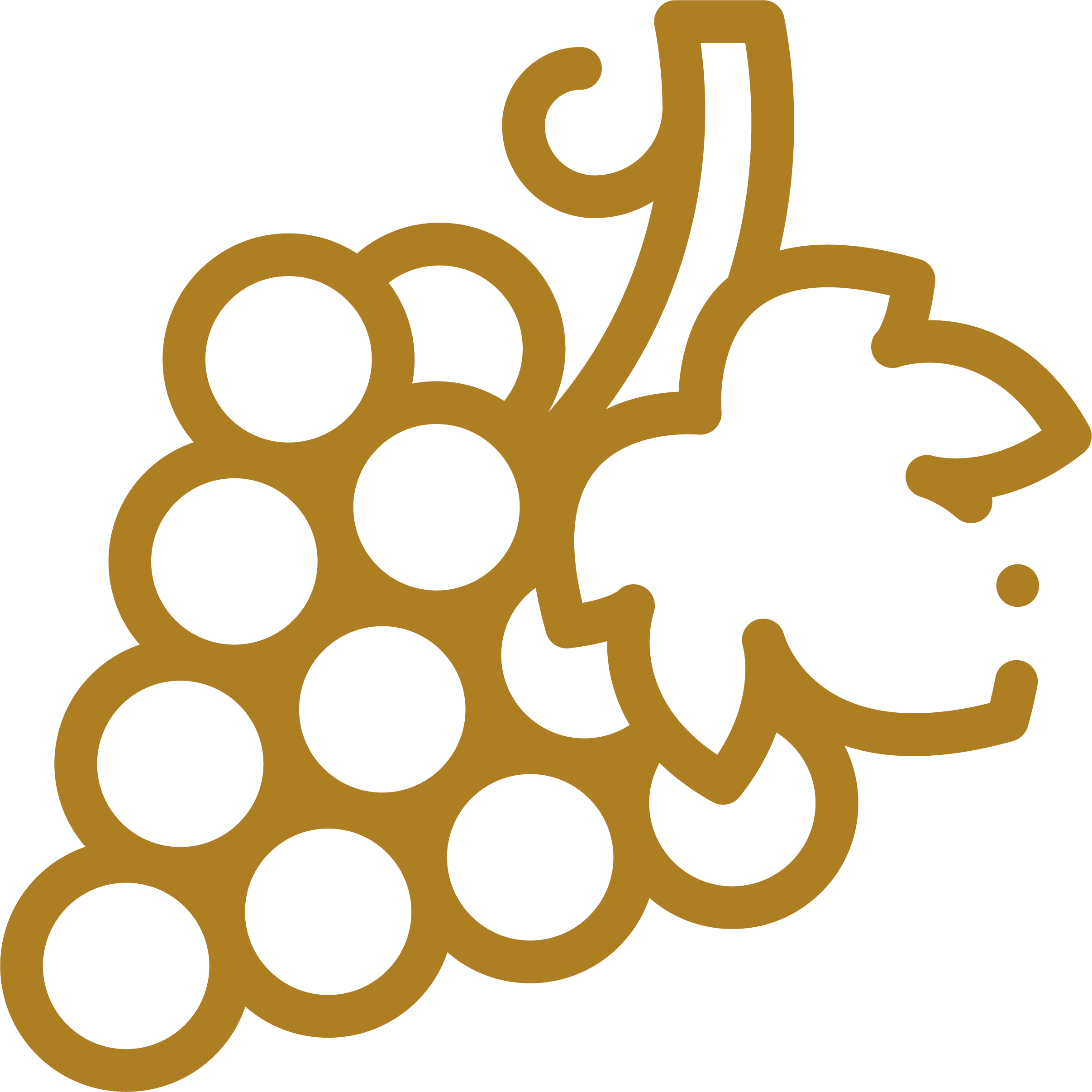 grape icon stars of white wine | STARS of White Wine Online Wine Tasting Image | Learn About Wine grape icon stars of white wine STARS of White Wine Online Wine Tasting Class Image at learnaboutwine.com