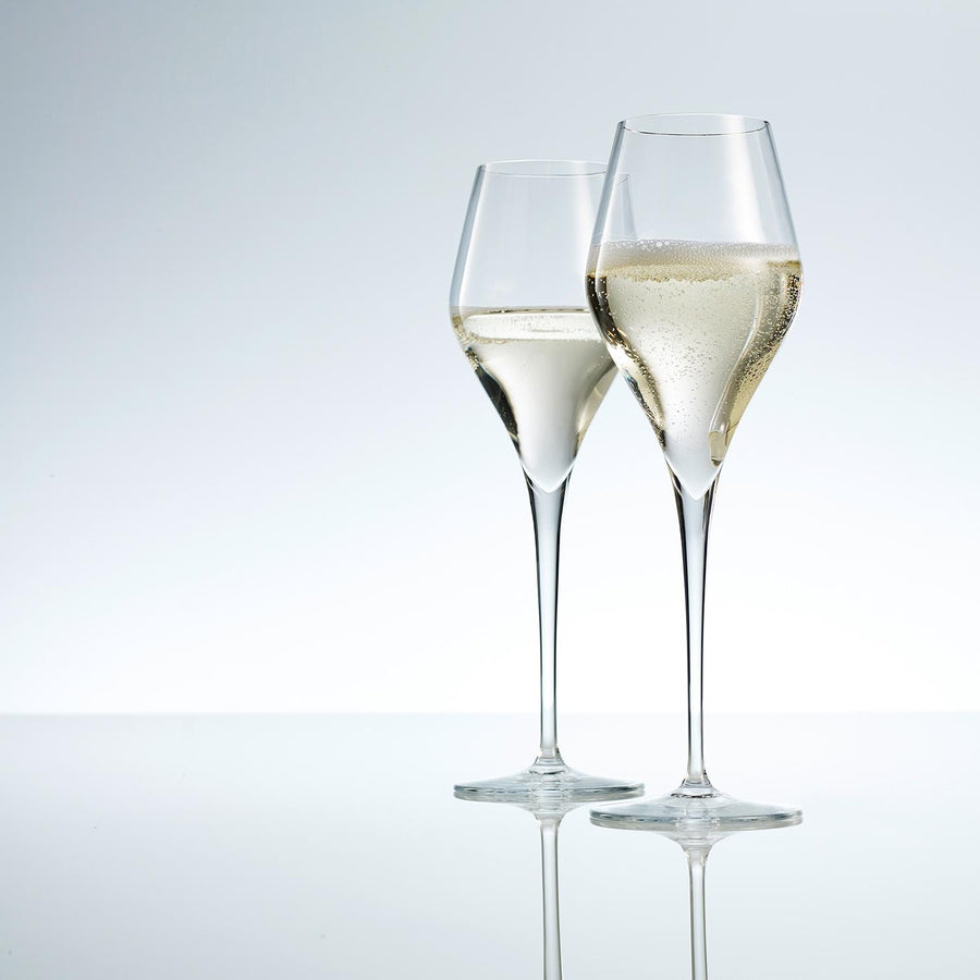 Verward Pompeii koepel Finesse Champagne Glasses/Set of 6/298ml | Homestead Store