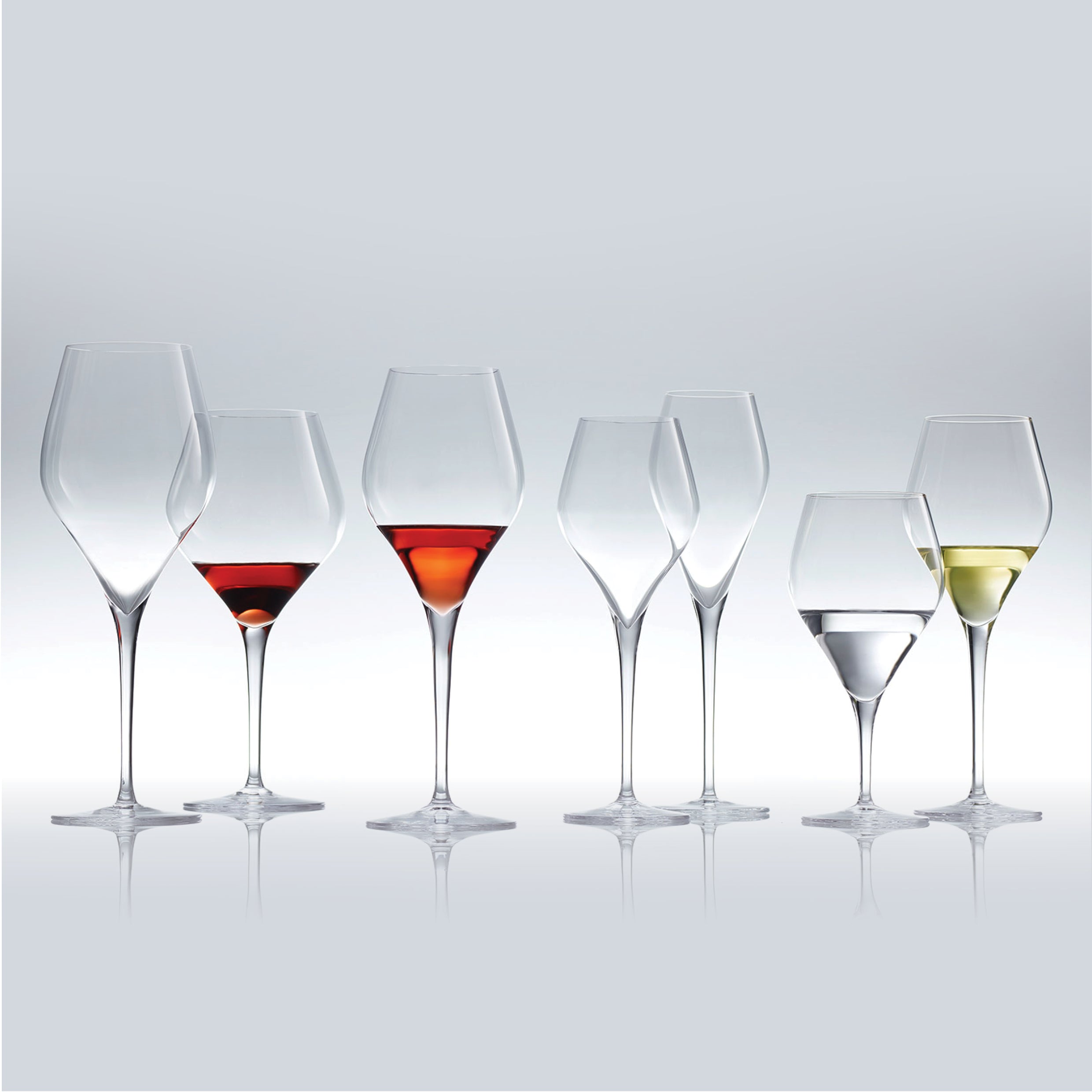 Verward Pompeii koepel Finesse Champagne Glasses/Set of 6/298ml | Homestead Store