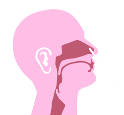 Prueba nasal