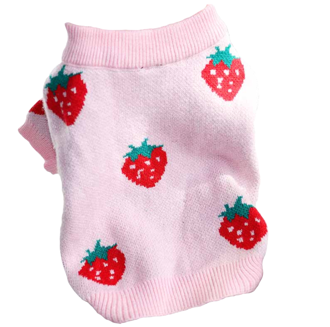 strawberry cat sweater