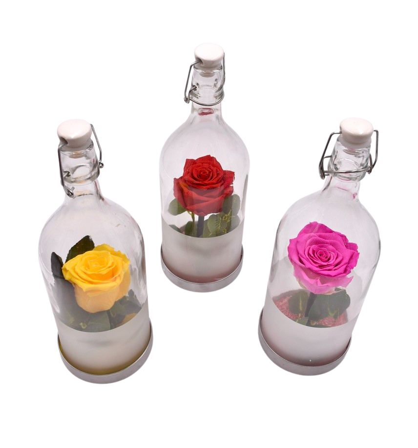 Rosa preservada en botella /Rosa eterna en botella de cristal – Floristería  Contreras